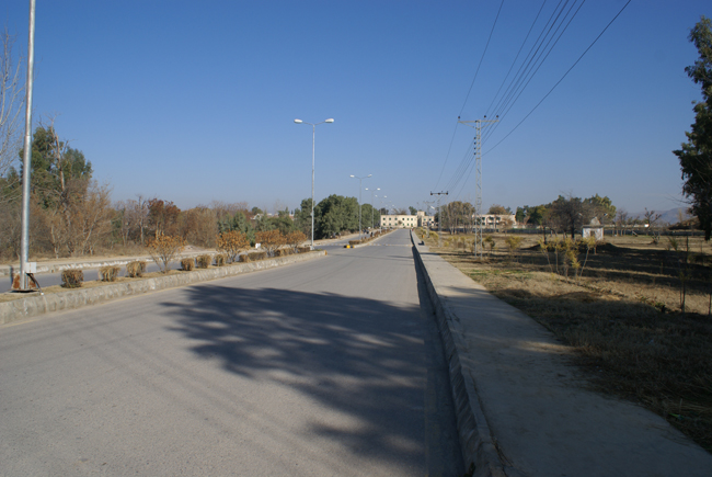 DSC03372
